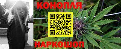 крисы Нягань