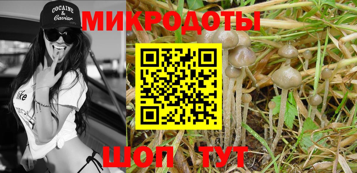 Псилоцибиновые грибы Magic Shrooms  Псилоцибиновые грибы GOLDEN TEACHER  Вход с VPN  Сосновый Бор 
