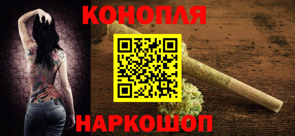 Каннабис планчик Сосновый Бор